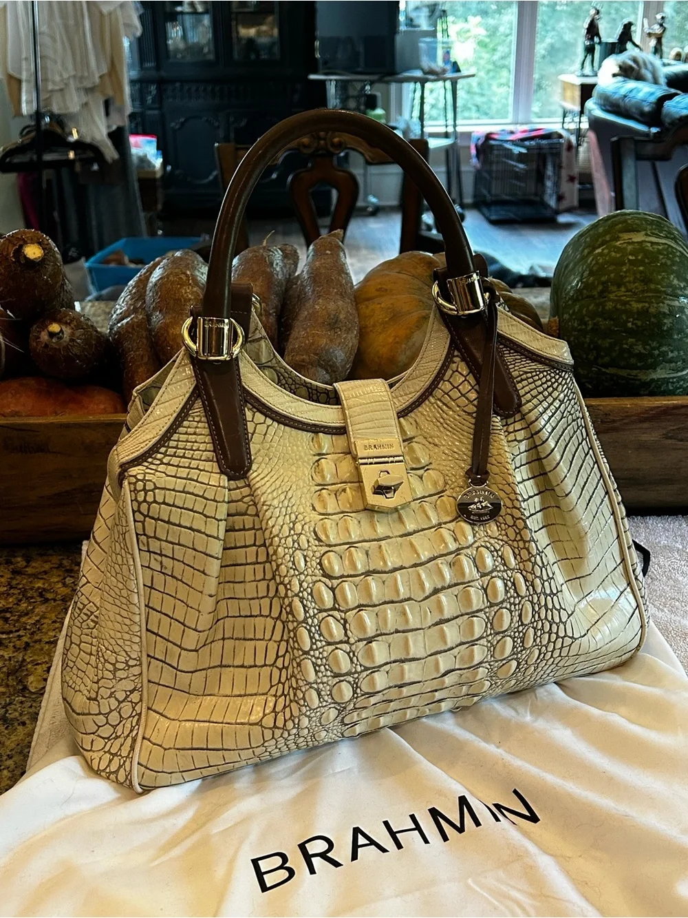 Brahmin Elisa Melbourne Hobo Satchel Ivory Coconut w Espresso Trim 2011 Retired